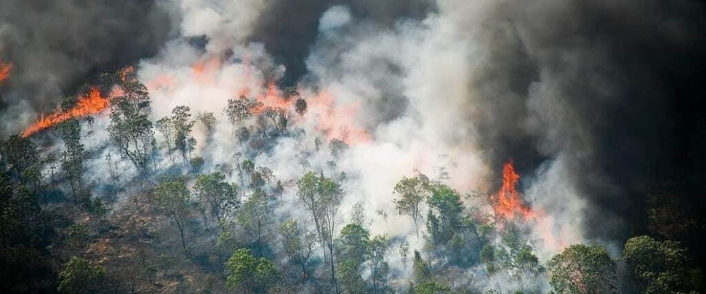 Knowing how to find alternate suppliers in case of emergency is important, especially during a forest fire like the one depicted