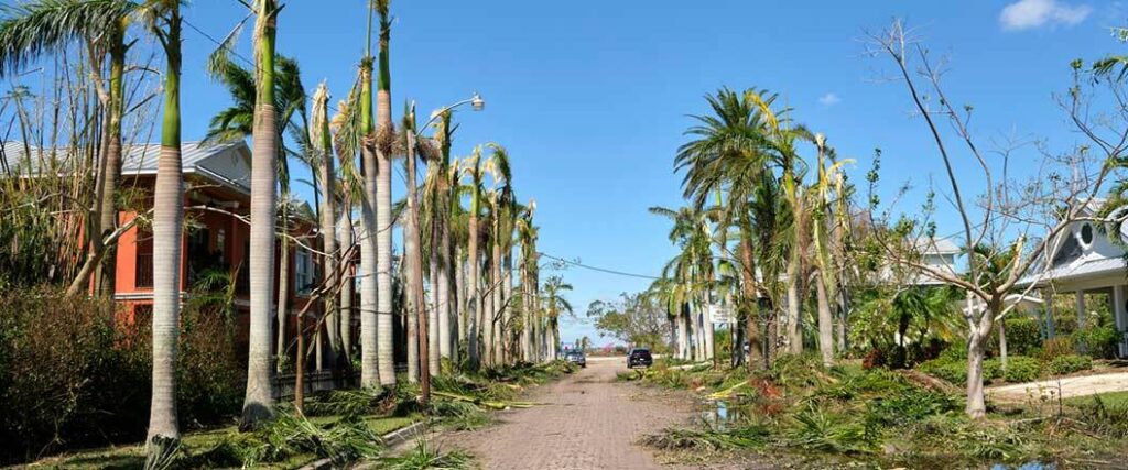 Category 6 hurricane wind speeds and damages would be considerably greater than the fallen palm fronds littering this street after a powerful hurricane.